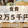 ふるさと納税。ボリュームたっぷり！ジューシーな『手羽先餃子』を紹介！　【月2万5千円】食費&食事記録　1/8~1/14