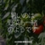 2818食目「暑いのは野菜も一緒のようです」2025年夏の野菜の状況