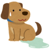 愛犬尿もれ問題で悩む・・(｡-_-｡)