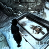 【Skyrim SE】本：「氷とキチン」