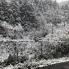 広島山県郡にあるがっつりステーキ♪ そして広島は初雪です♪
