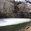 気が変わりました。(・∀・)