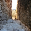 グアダルーぺ山地国立公園 / Guadalupe Mountains National Park