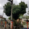 杭全神社～平野の町散策２