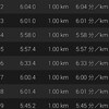 Eペースで３０ｋｍ走と今後の予定