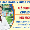 Thay đổi mã các trường trung cấp cao đẳng kể từ năm 2017