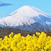 虻蜂取らず
