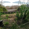 大崎上島日記　移住4年目