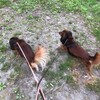 ご近所まわり