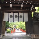 ひつじコラム hitsujicolumn