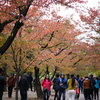 今の季節にオススメ♫大阪城おさんぽはいかがでしょうか？