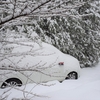 恵みの雪？