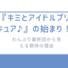 『キミとアイドルプリキュア♪』の始まり！わんぷり最終回から見える期待の理由