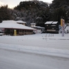 大雪でてんやわんや