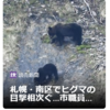 【クマ被害速報！…10／14－16　これはありか？　住宅地に出没のクマを捕獲したら、過去に捕獲し放獣された個体か？】＃420