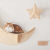 猫アレルギーだけど猫と暮らしたい！！克服までの道～子猫編～