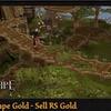 Why Using Runescape gold Is Important?