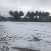 雪が残っています。長靴履いて散歩しました。