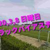 2020,3,8 日曜日 トラックバイアス予想 (中山競馬場、阪神競馬場、中京競馬場)