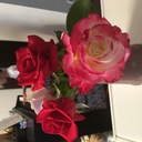 ひだまり 〜10歳差兄妹と私の日々〜