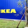 IKEA 長久手