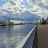 Harbor Walk