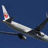  JL JA607J B767-300(ER/wl)