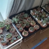 退避。