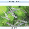 日本のメダカを飼おう!―育て方とふやし方 