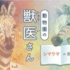 動物園の獣医さん : シマウマの削蹄