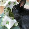 さぁさぁ、おやつバイキング…どれにする？