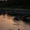 夕日の渡良瀬川