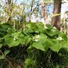 群馬県憩の森にて