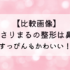 【比較】国木田さりまるの整形は鼻だけ!昔もすっぴんもかわいい!