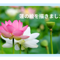 初めてでも安心！蓮の花を描く楽しい時間