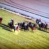 2025年3月29日放送「蒼天の馬 ／ ナランフレグ」