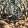 続百名城　古宮城 (150・愛知県新城市) 2/2-武田軍最前線の名城　東側を回る