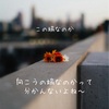「 揃えて下さい 」 はどれくらいの事を言うんだろ。って話。