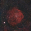 エンゼルフィッシュ星雲　Sh2-264