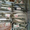 ２月４日（土）河西鮮魚店