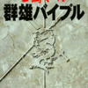 三国志６のゲームの攻略本の中で　どの書籍が最もレアなのか？