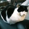挨拶まわり