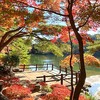 再度公園の紅葉～11月中旬編～