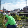 肥えた実で一安心