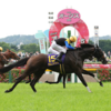 日曜競馬　展望