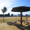 【犬連れで行きたい松本市内の公園】おススメ６選☆彡