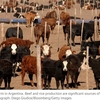 Methane-Eating Bacteria Could Reduce Global Warming