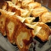 餃子月報2026.3期