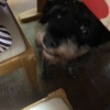ふくすけ特集やっちゃうよ　