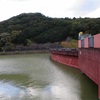 大阪府南部の和泉層群へ化石採集に行ってきました